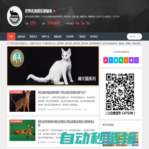 世界名宠俱乐部纯种猫舍 - 缅因猫_布偶猫_英国短毛猫_斯芬克斯猫_挪威森林猫_等等